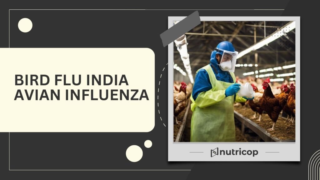 Bird Flu India